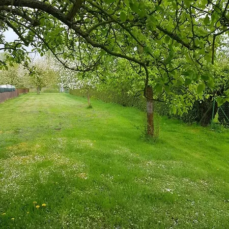 Am Hechtgraben 5